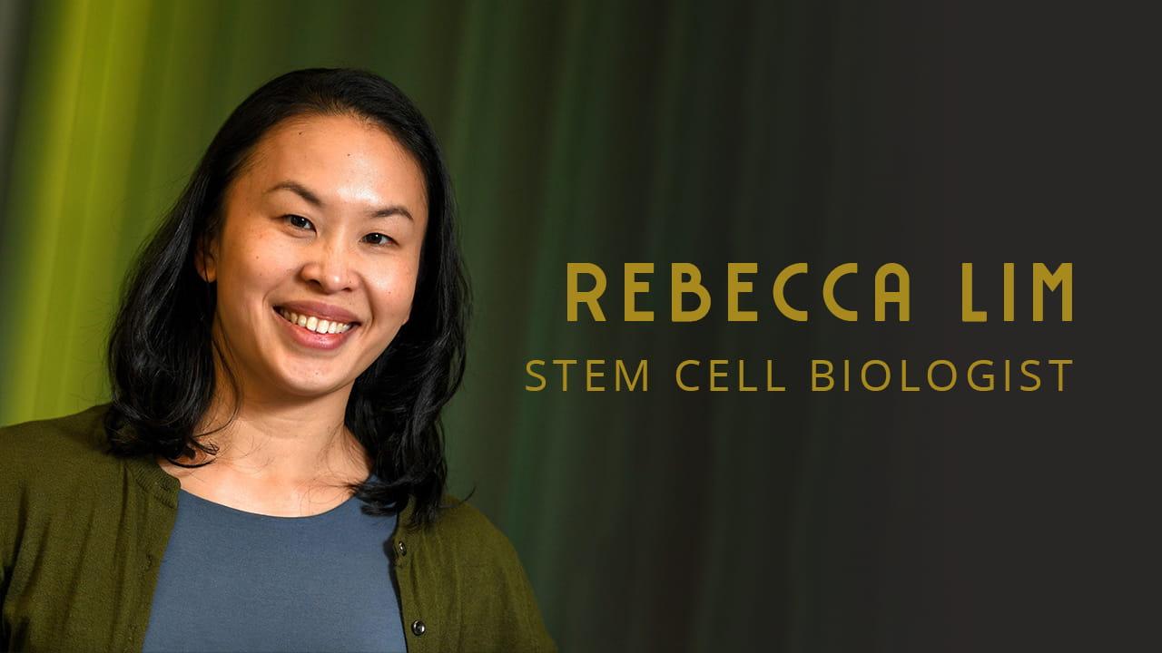 Regenerative medicine and stem cell therapies